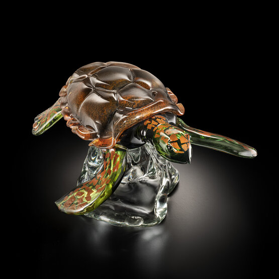 Tortuga, Tortuga ámbar sobre base de cristal