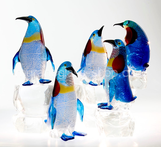 Penguin (composición), Grupo de pingüinos
