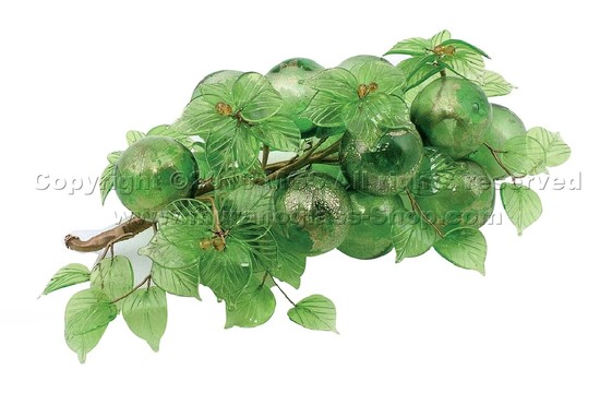 Uva soplada con rama de flor, Racimo de uvas sopladas con 16 granos.