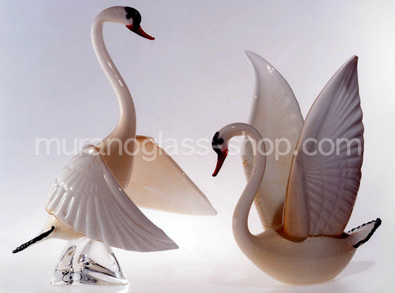 Biancolatte Swan, Cisne con la base