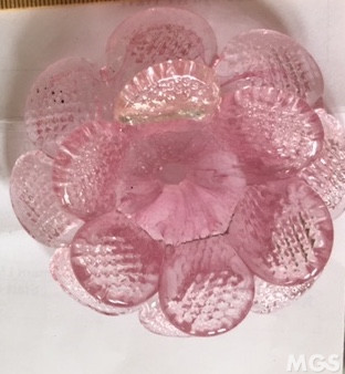 flores dobles, Flor rosa doble