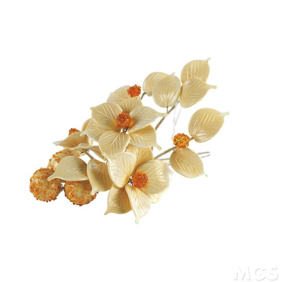 Rama con grano, Rama con grano
