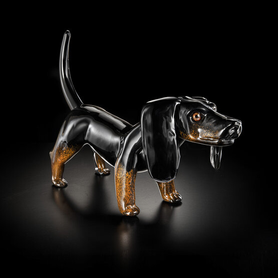 Perro tejonero, Teckel color negro